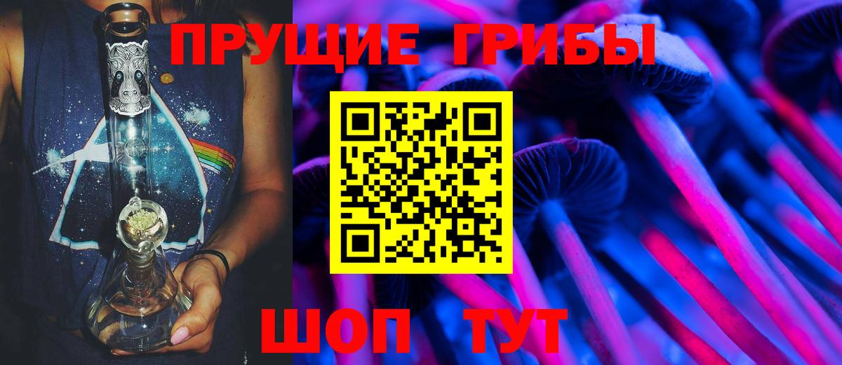Галлюциногенные грибы Psilocybe  Вход с VPN  что такое   Новокуйбышевск  Псилоцибиновые грибы Magic Shrooms 